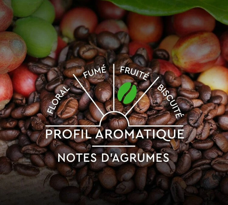 30 Capsules Compatibles Nespresso® - Espresso BIO - CARTE NOIRE 4 30 Capsules Compatibles Nespresso® - Espresso BIO - CARTE NOIRE – Image 4