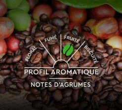 60 Capsules Compatibles Nespresso® - Espresso BIO - CARTE NOIRE -CaféStyle Boutique bio notes aro 2