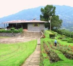 250g Café En Grain Bio La Esperanza - Cafés Lugat -CaféStyle Boutique cafe grains esperanza colombie 3