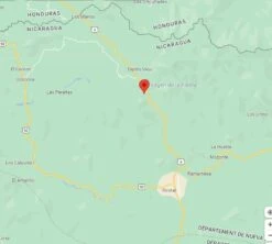 4x250g Café En Grain Nicaragua Don Olman - Cafés Lugat 8 4x250g Café En Grain Nicaragua Don Olman - Cafés Lugat -CaféStyle Boutique cafeengraincafeslugatdipilto