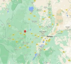 4x250g Café En Grain Bio - Ethiopie Moka Nekemte - CAFES LUGAT 5 4x250g Café En Grain Bio - Ethiopie Moka Nekemte - CAFES LUGAT -CaféStyle Boutique cafeengraincafeslugatethiopie