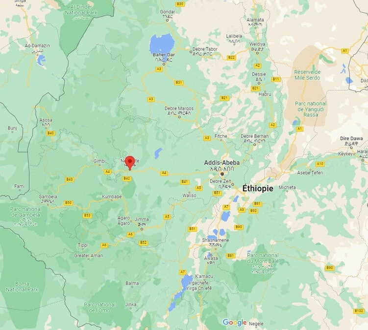 4x250g Café En Grain Bio - Ethiopie Moka Nekemte - CAFES LUGAT 3 4x250g Café En Grain Bio - Ethiopie Moka Nekemte - CAFES LUGAT – Image 3