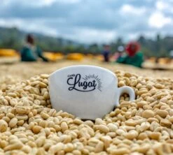 1 Kg Café En Grain Le Dark'n Sweet - Cafés Lugat -CaféStyle Boutique cafeengraincafeslugatmarque