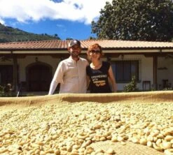 250 G- Café En Grain La Cumbre - LE PIANTAGIONI DEL CAFFE -CaféStyle Boutique cafeengrainlpdclacumbre2