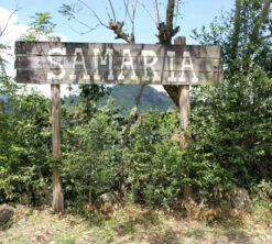 250 G- Café En Grain Samaria - LE PIANTAGIONI DEL CAFFE -CaféStyle Boutique cafeengrainlpdcsamaria1