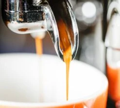 1 Kg Café En Grain Purissima - Perléo Espresso 19 1 Kg Café En Grain Purissima - Perléo Espresso -CaféStyle Boutique cafeengrainperleoespressopurissimaextraction