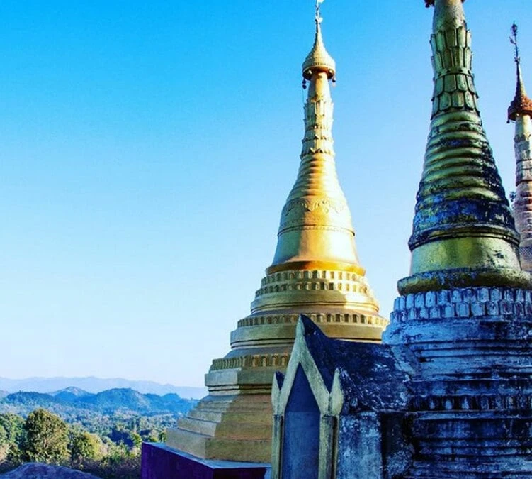 250 G Café En Grain Myanmar Ywangan Manussiha 100% Arabica - Brûlerie Du Cantin 3 250 G Café En Grain Myanmar Ywangan Manussiha 100% Arabica - Brûlerie Du Cantin – Image 3