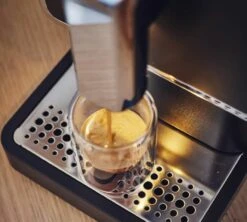 1kg Café En Grain Bio Monte Verde - GREEN LION COFFEE -CaféStyle Boutique cafengraingreenlioncoffee