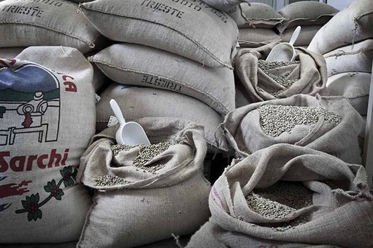 150 Dosettes ESE Suprema - CAFFE DEL FARO 3 150 Dosettes ESE Suprema - CAFFE DEL FARO – Image 3