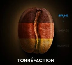 30 Capsules Compatibles Nespresso®- Espresso Décafénié - CARTE NOIRE -CaféStyle Boutique dca torref 1