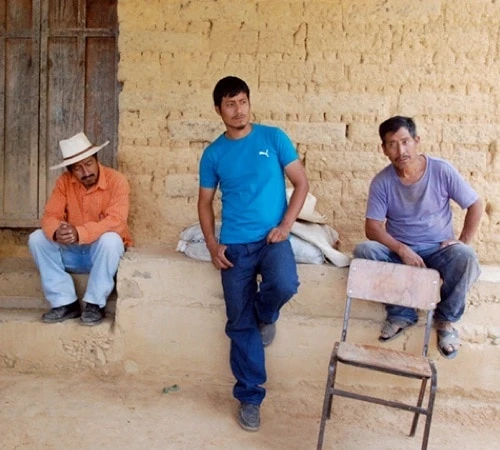 Café En Grains Bio : Mexique - Sueño - Décaféiné à L'eau - 1Kg - Cafés Lugat 2 Café En Grains Bio : Mexique - Sueño - Décaféiné à L'eau - 1Kg - Cafés Lugat – Image 2