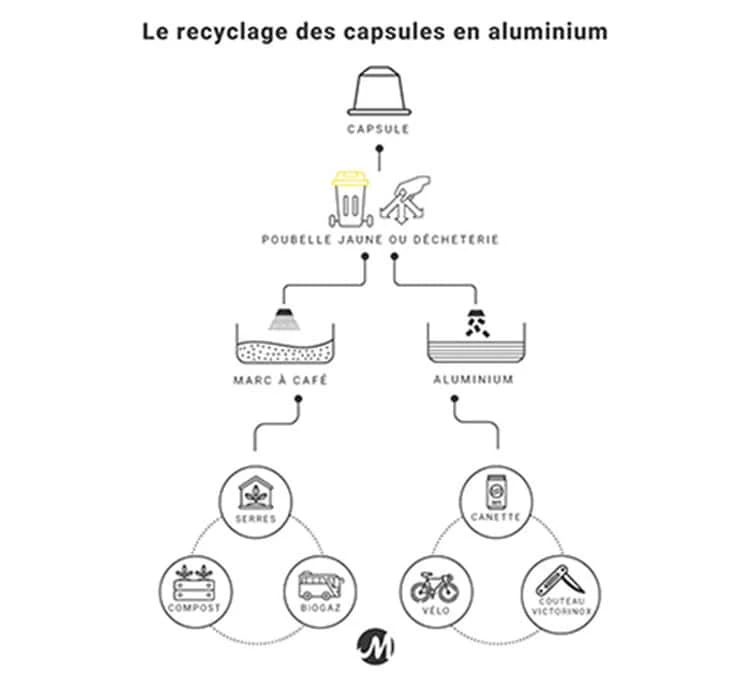 Pack Découverte Bio - 40 Capsules - Compatibles Nespresso® - GREEN LION COFFEE 3 Pack Découverte Bio - 40 Capsules - Compatibles Nespresso® - GREEN LION COFFEE – Image 3