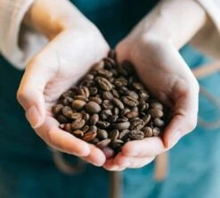 Café En Grains Cinquantenario Zicaffè 1kg -CaféStyle Boutique lifestyle grain 3