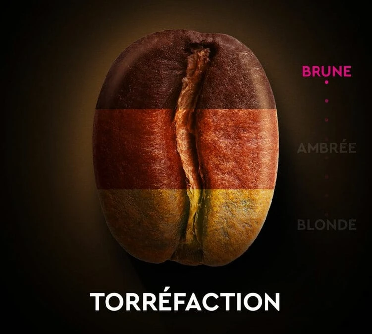 30 Capsules Alu Compatibles Nespresso® - Espresso Intense N°9 - CARTE NOIRE 6 30 Capsules Alu Compatibles Nespresso® - Espresso Intense N°9 - CARTE NOIRE – Image 6