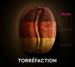 60 Capsules Compatibles Nespresso® - Espresso Intense N°9 - CARTE NOIRE -CaféStyle Boutique n9 torref 2