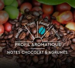 60 Capsules Compatibles Nespresso® - Espresso Classique N°7 - CARTE NOIRE -CaféStyle Boutique profil classique n7 2