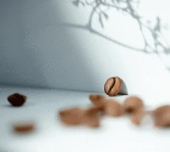 500g Café En Grain Bio Moka D'Ethiopie - CAFES RICHARD -CaféStyle Boutique specialtycoffee