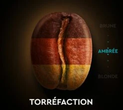 30 Capsules Compatibles Nespresso® Espresso Classique N°7 - CARTE NOIRE 13 30 Capsules Compatibles Nespresso® Espresso Classique N°7 - CARTE NOIRE -CaféStyle Boutique torref n7 1