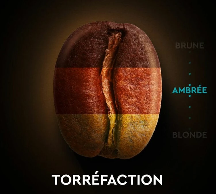 30 Capsules Compatibles Nespresso® Espresso Classique N°7 - CARTE NOIRE 4 30 Capsules Compatibles Nespresso® Espresso Classique N°7 - CARTE NOIRE – Image 4